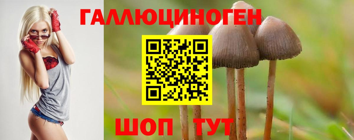 Ипатово  Псилоцибиновые грибы мухоморы  Вход с VPN 